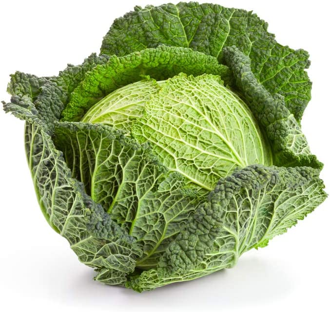 Savoy Cabbage Seeds, 500 Heirloom Seeds Per Packet, Non GMO Seeds