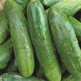 Poinsett 76 Cucumber, 100 Seeds Per Packet, Non GMO Seeds