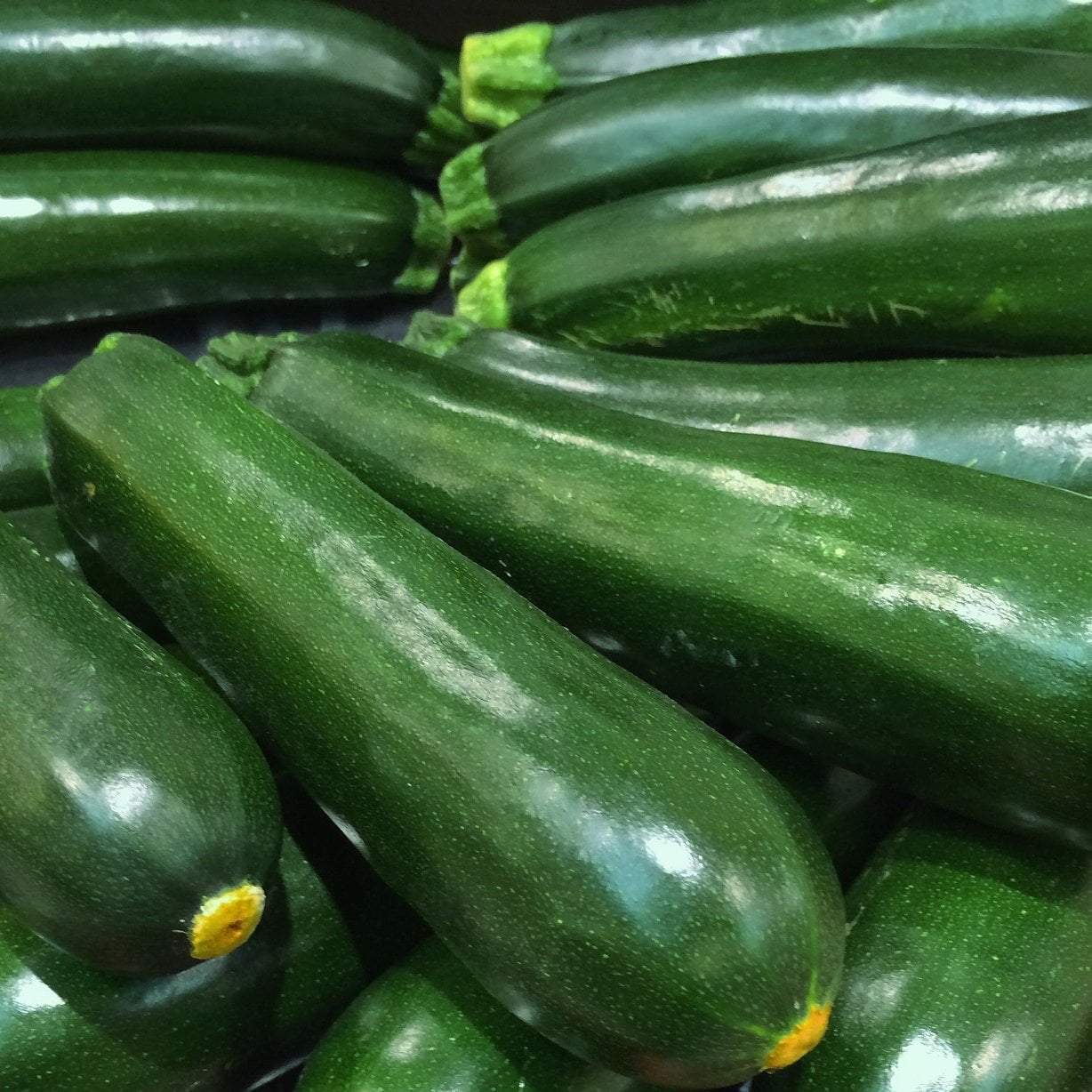 Black Beauty Summer Squash, 25 Heirloom Seeds Per Packet, Non GMO Seeds
