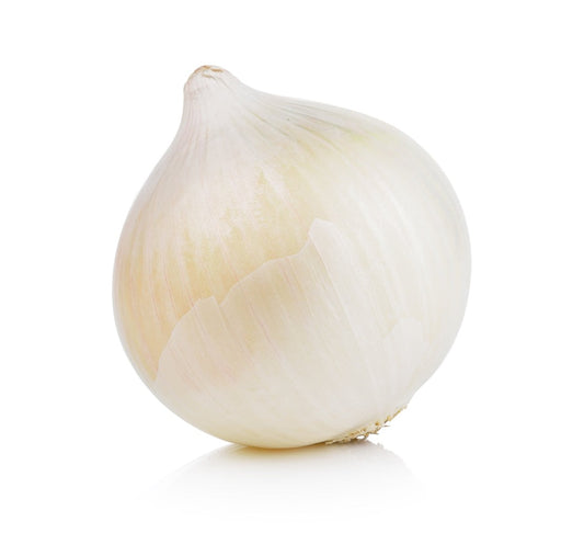 Sweet Spanish White Onion Seeds, 500 Heirloom Seeds Per Packet, Non GMO Seeds
