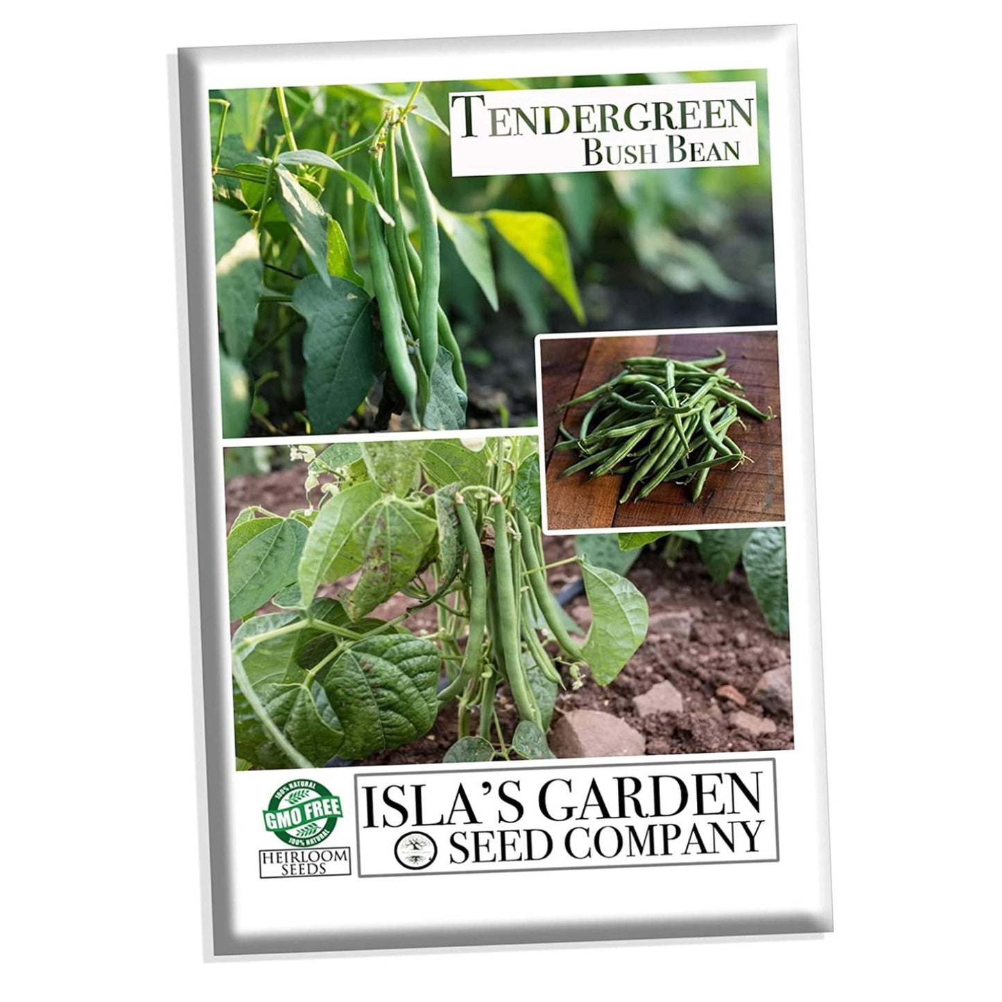 Tendergreen Bush Bean, 50 Heirloom Seeds Per Packet, Non GMO Seeds