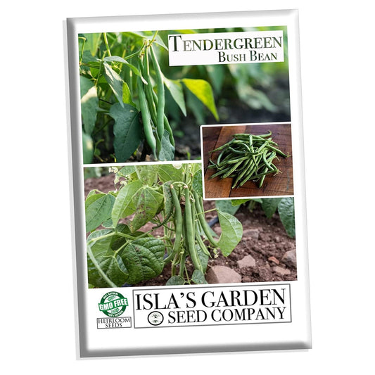Tendergreen Bush Bean, 50 Heirloom Seeds Per Packet, Non GMO Seeds