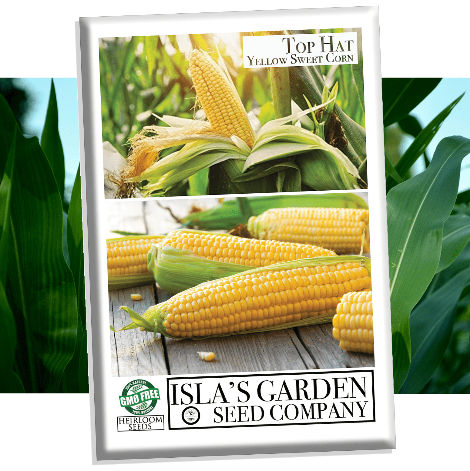best corn seed for home garden Top Hat Yellow Sweet Corn Seeds, 25+ Seeds Per Packet, Non GMO & Heirloom Seeds, Botanical Name: Zea mays
