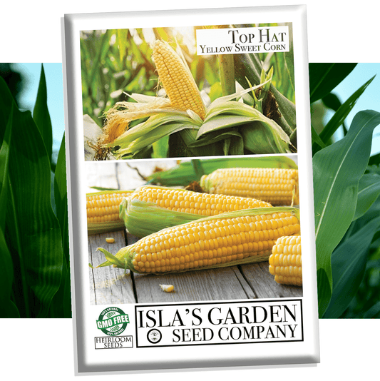 "Top Hat" Yellow Sweet Corn Seeds, 25+ Seeds Per Packet, Isla's Garden Seeds , Non GMO & Heirloom Seeds, Botanical Name: Zea mays