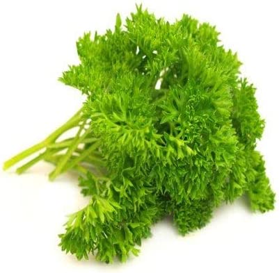 Triple Curled Parsley, 250 Heirloom Seeds Per Packet, Non GMO Seeds