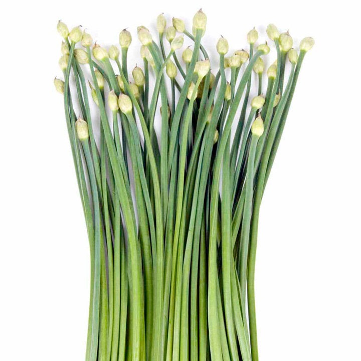 Garlic Chives Herb, 200 Heirloom Seeds Per Packet, Non GMO Seeds