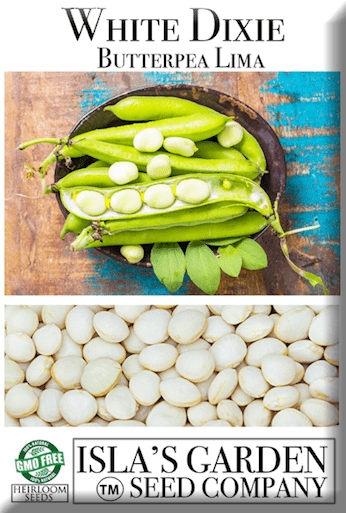 White Dixie Butter Pea Lima, 25 Heirloom Seeds Per Packet, Non GMO Seeds