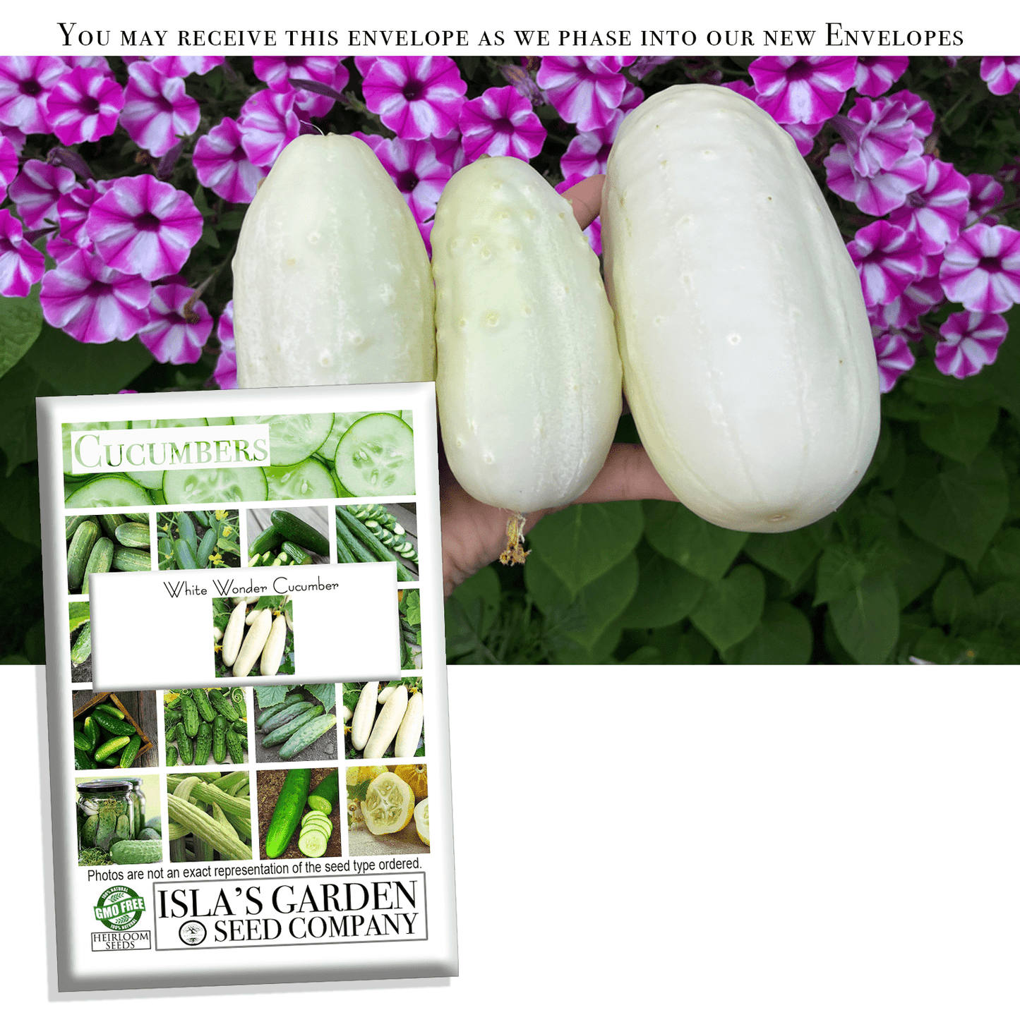 White Wonder Cucumber Seeds, 50 Heirloom Seeds Per Packet, Non GMO Seeds