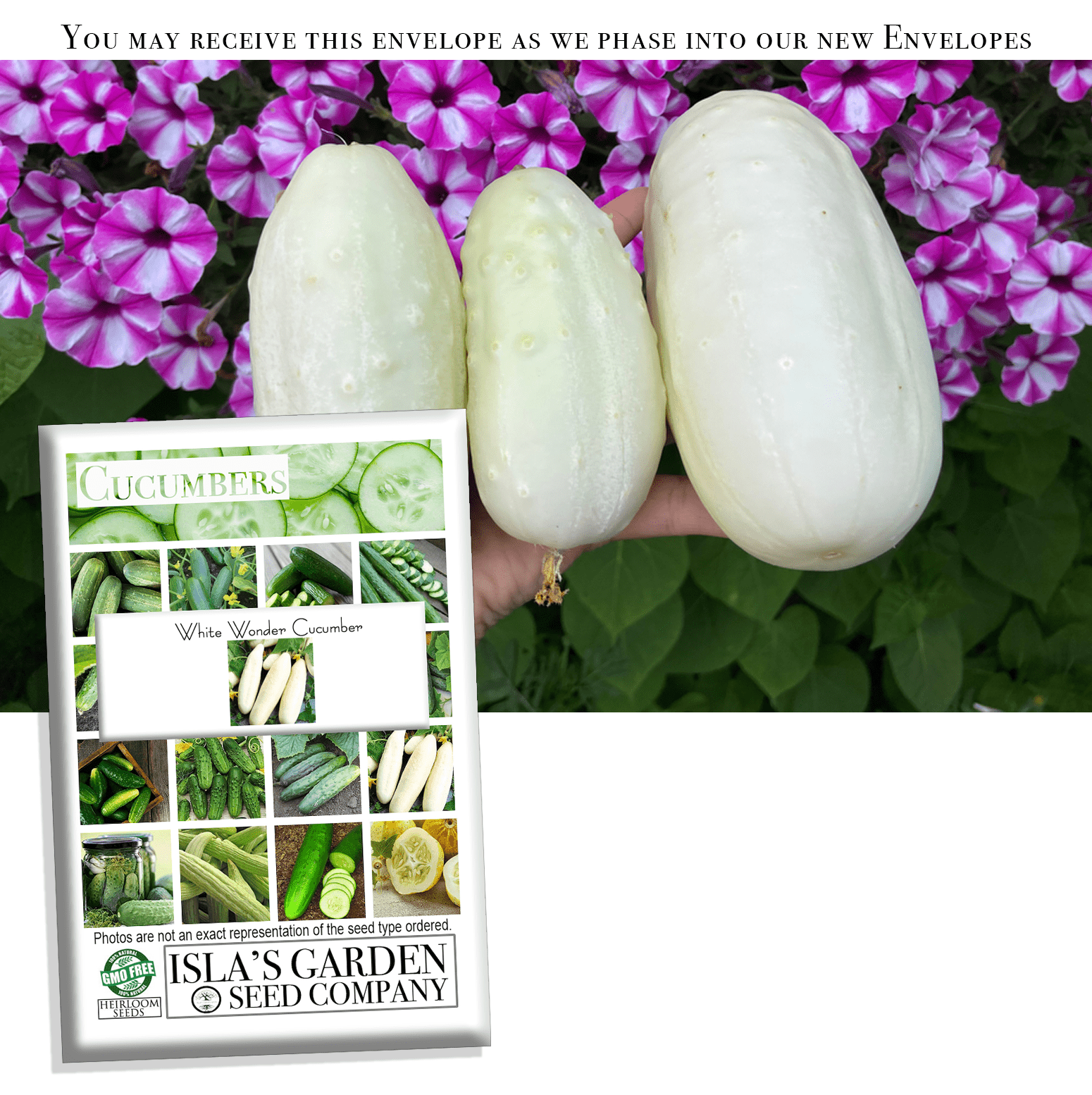 White Wonder Cucumber Seeds, 50 Heirloom Seeds Per Packet, Non GMO Seeds