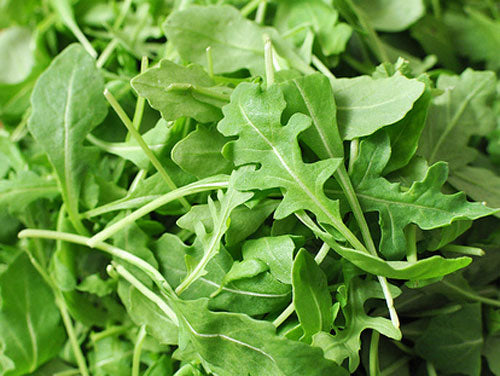 Arugula Lettuce Seeds, 1000 Heirloom Seeds Per Packet, Non GMO Seeds