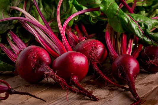 Bull's Blood Beet Seeds, 100+ Heirloom Seeds Per Packet, Non GMO Seeds, Botanical Name: Beta vulgaris