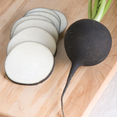 Black Spanish Round Radish, 150 Heirloom Seeds Per Packet, Non GMO Seeds