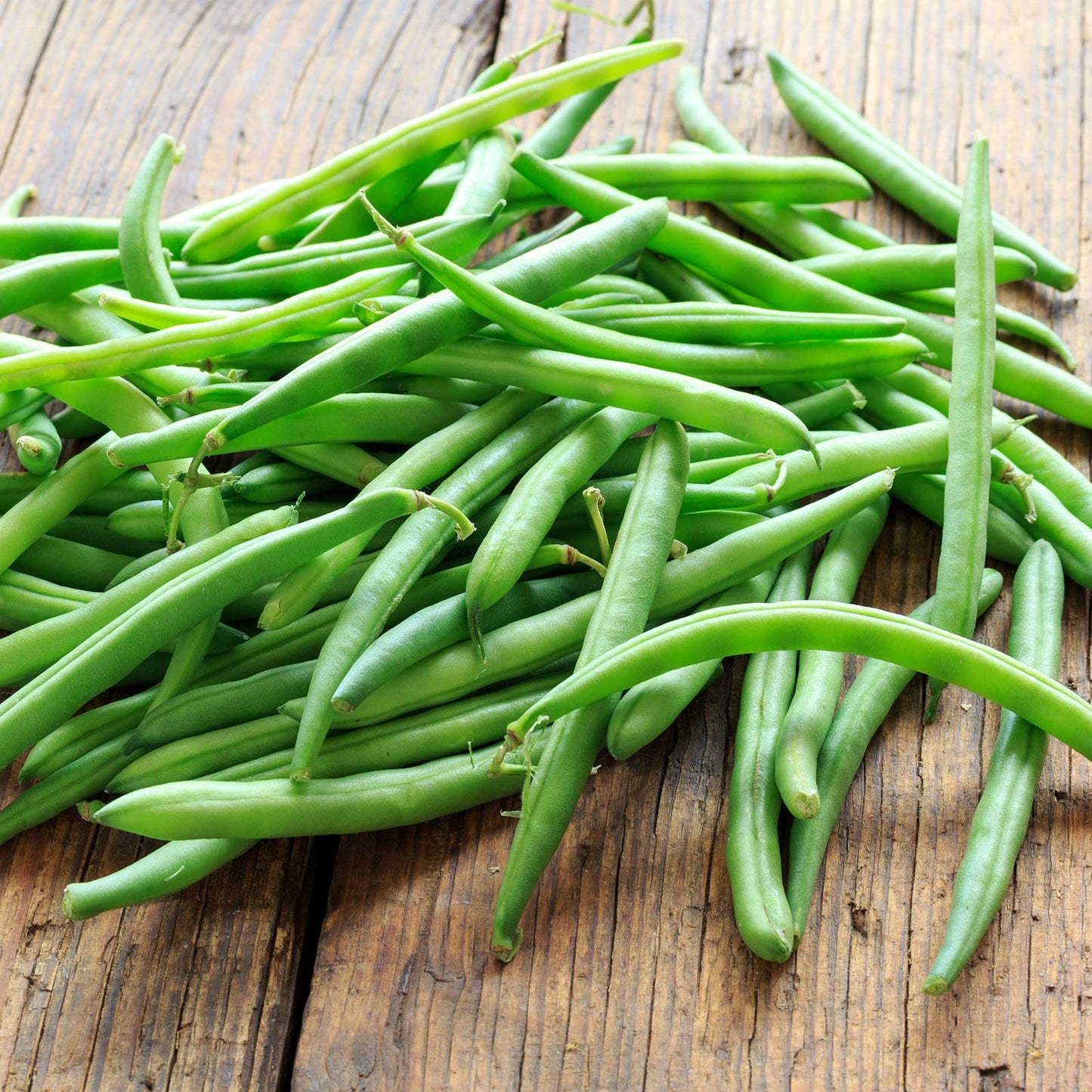 Blue Lake Bush Green Bean Seeds, 50 Heirloom Seeds Per Packet, Non GMO Seeds