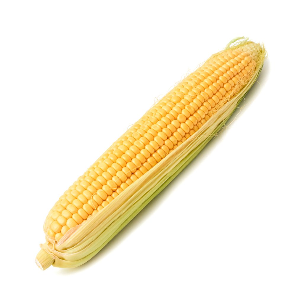 Bodacious RM Hybrid Corn, 50+ Heirloom Seeds Per Packet, Non GMO Seeds, Botanical Name: Zea mays