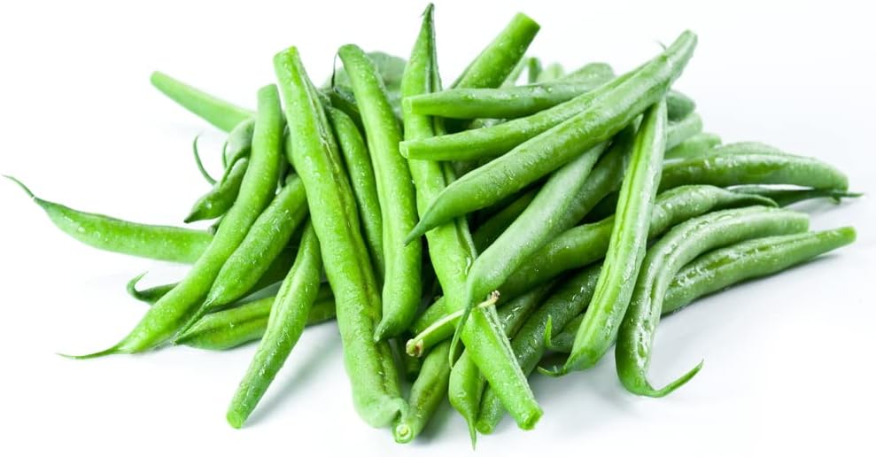 Burpee Stringless Green Bean Seeds, 25 Heirloom Seeds Per Packet, Non GMO Seeds