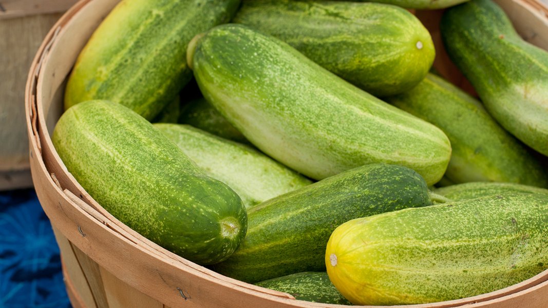 Carolina Cucumber Seeds, 100 Heirloom Seeds Per Packet, Non GMO Seeds