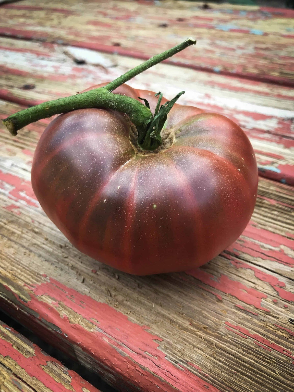 Black Brandywine Heirloom Tomato Seeds