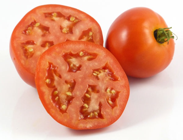 Homestead Heirloom Tomato Seeds, 250 Seeds Per Packet, Non GMO Seeds