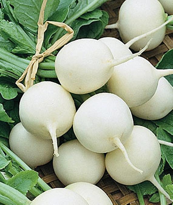 Hailstone Radish, 250 Heirloom Seeds Per Packet, Non GMO Seeds
