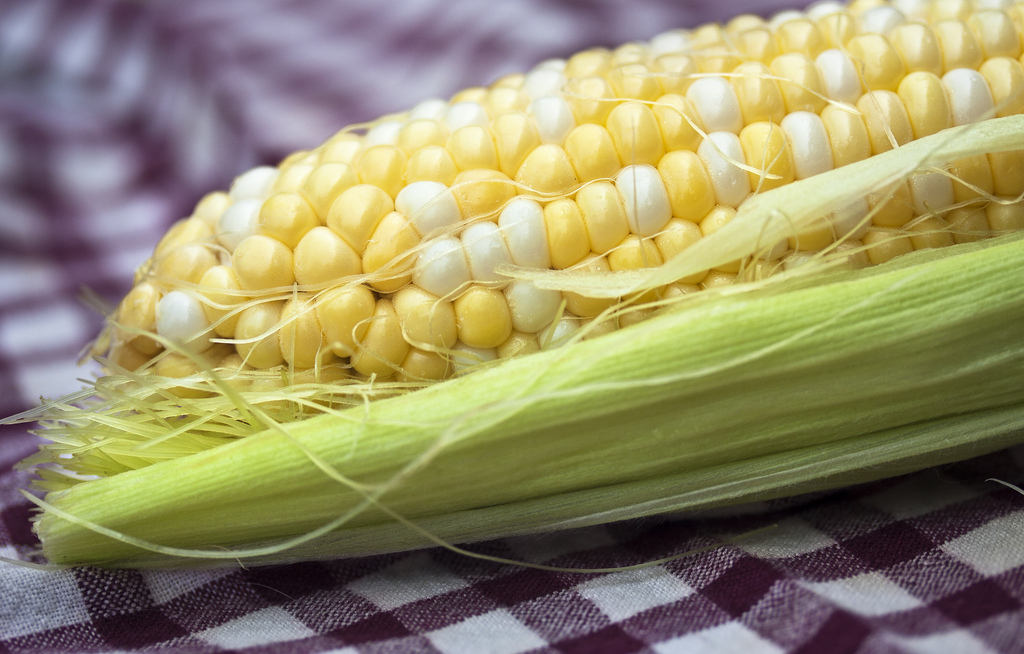 Bi-Color "Bilicious" Sweet Corn Seeds for Planting, 50+ Heirloom Seeds Per Packet, Non GMO Seeds, Botanical Name: Zea Mays