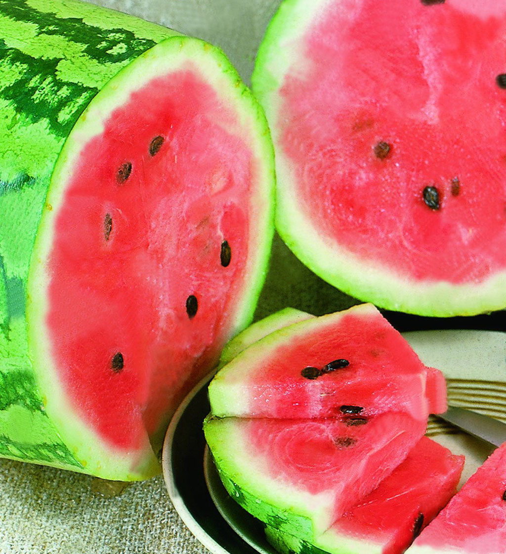 Jubilee Watermelon Seeds, 50 Heirloom Seeds Per Packet, Non GMO Seeds