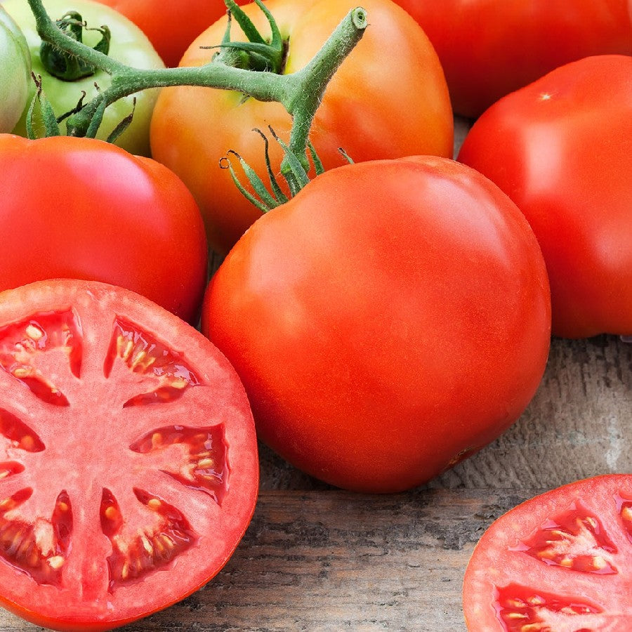 Marglobe Heirloom Tomato Seeds, 500 Seeds Per Packet, Non GMO Seeds