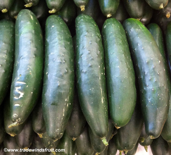Marketer Cucumber Seeds, 100 Heirloom Seeds Per Packet, Non GMO Seeds