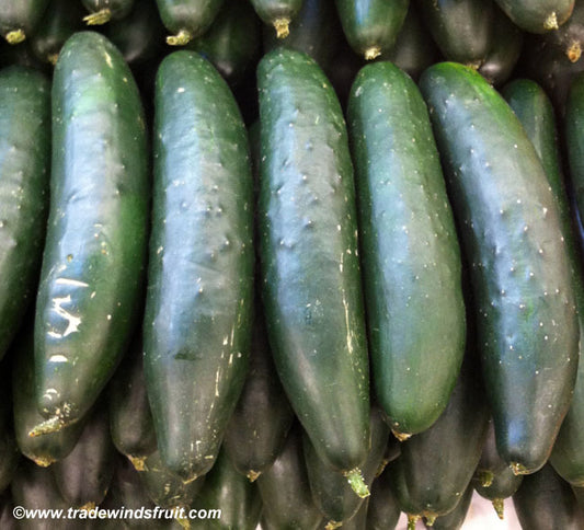 Marketer Cucumber Seeds, 100 Heirloom Seeds Per Packet, Non GMO Seeds