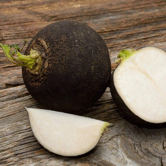 Black Spanish Round Radish, 150 Heirloom Seeds Per Packet, Non GMO Seeds