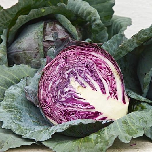 Red Acre Cabbage Seeds, 250 Heirloom Seeds Per Packet, Non GMO Seeds