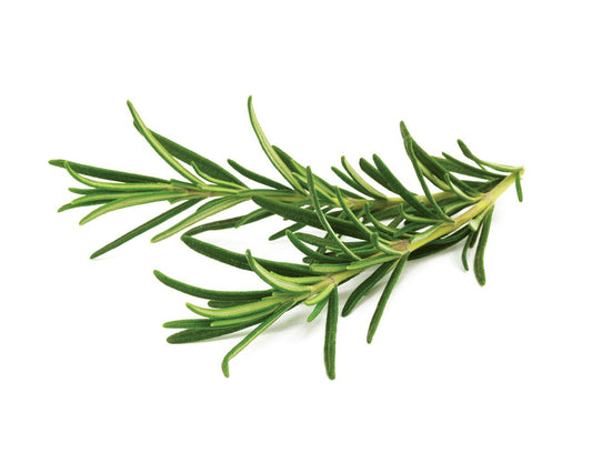 Rosemary Herb, 250 Heirloom Seeds Per Packet, Non GMO Seeds