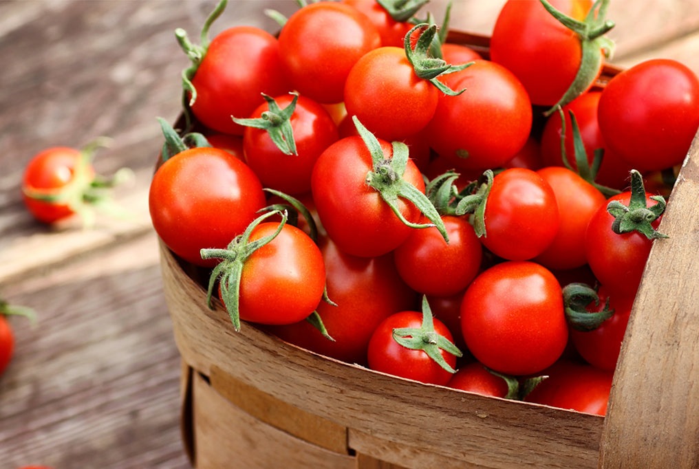 "Sweetie" Cherry Tomato Seeds for Planting, 250+ Heirloom Seeds Per Packet, Isla's Garden Seeds , Non GMO Seeds, Sweet Flavor, Botanical Name: Solanum lycopersicum, Great Home Garden Gift