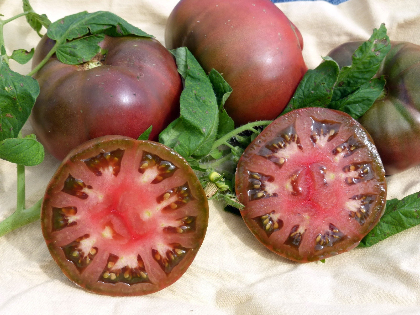 Black Brandywine Heirloom Tomato Seeds