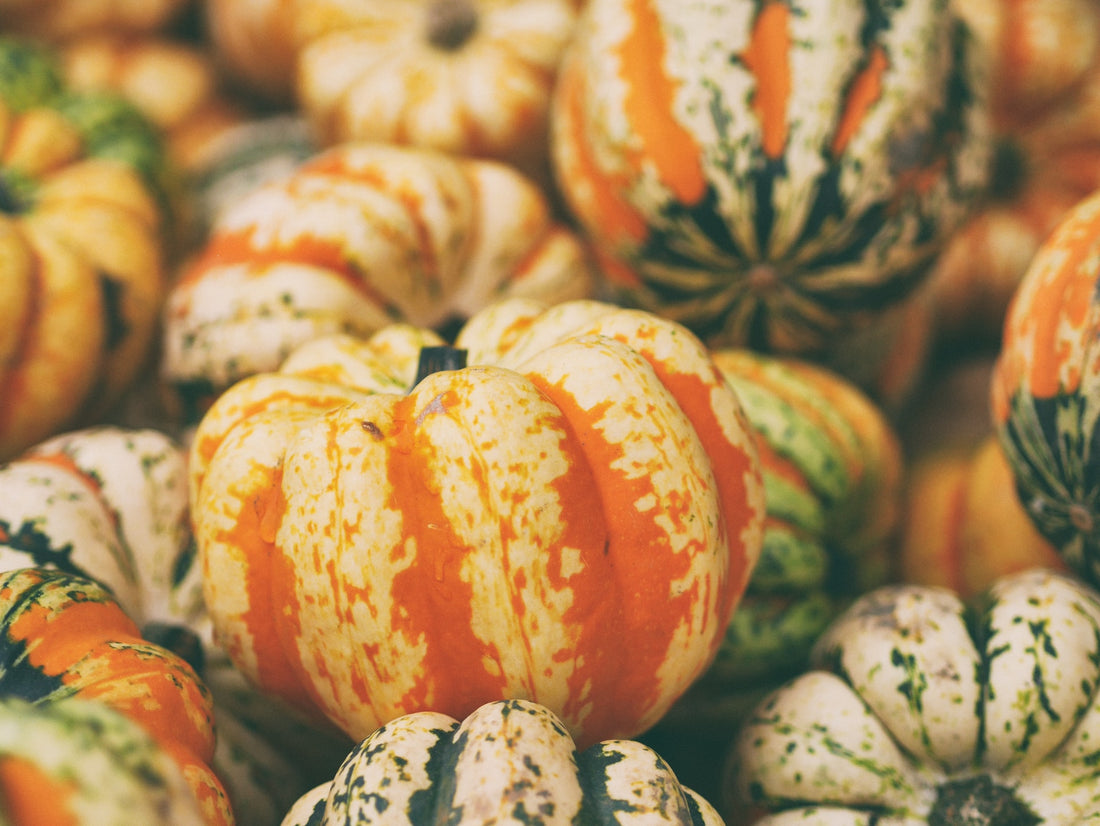 4 Awesome Ways to Use the Winter Squash Harvest