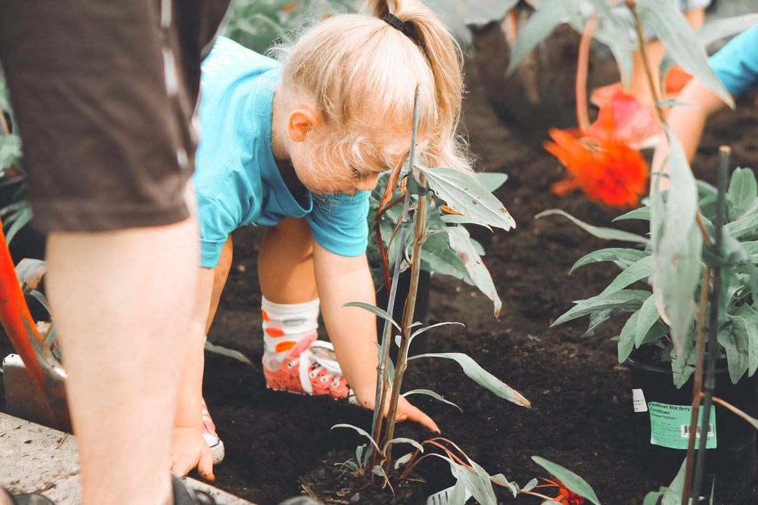The Importance of Introducing Children to Gardening