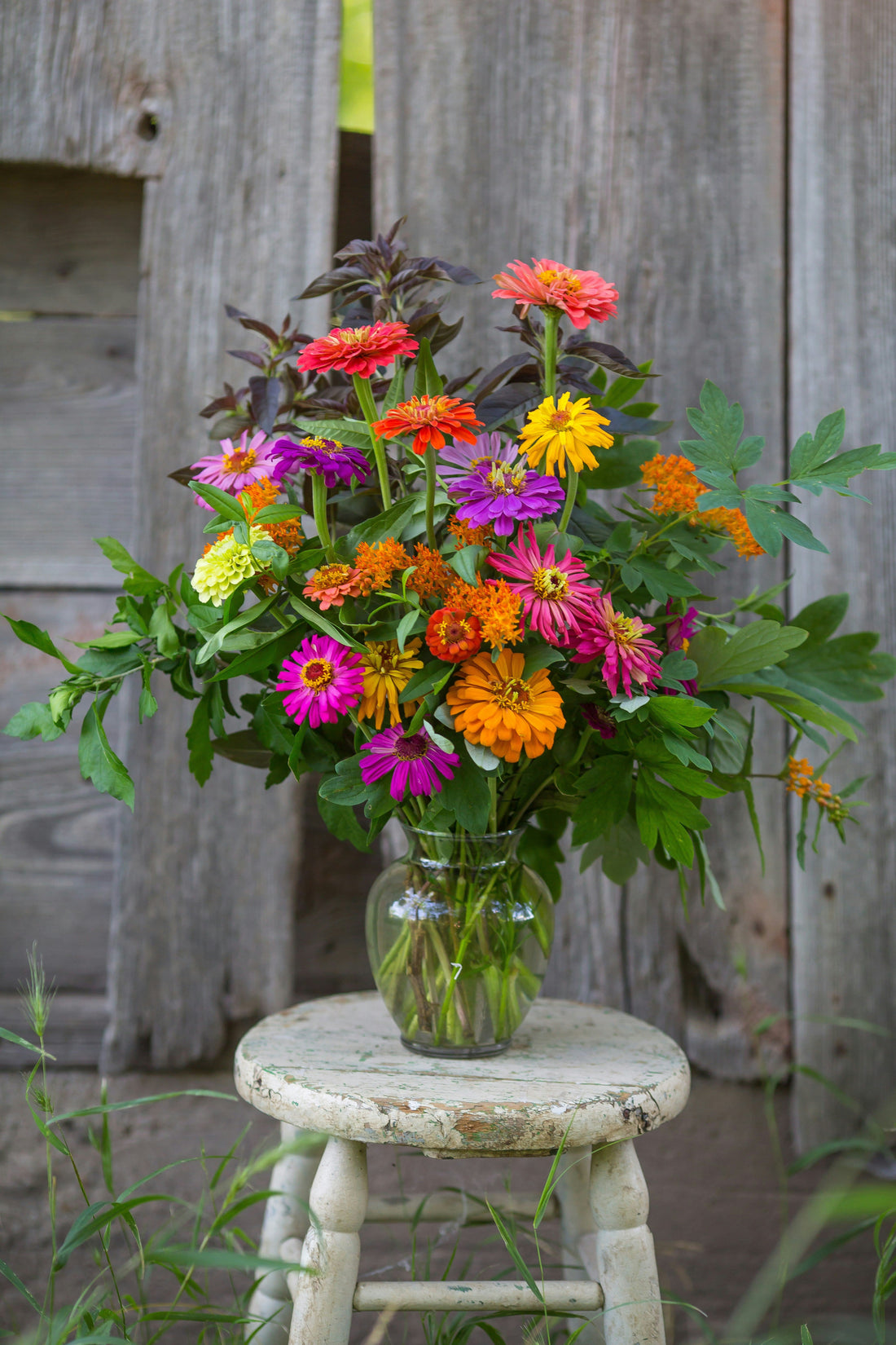 Starting a Cut Flower Garden