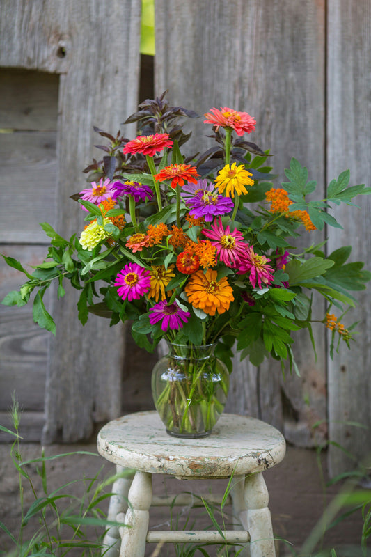 Starting a Cut Flower Garden