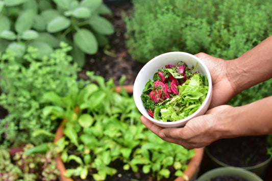 What Is Organic Gardening And Should I Be Doing It?