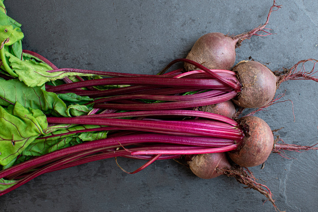 Basics of Growing Beets in the Garden