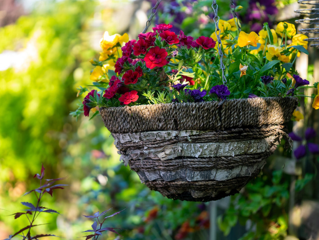 12 Herbs and Edible Flowers To Grow in Hanging Baskets