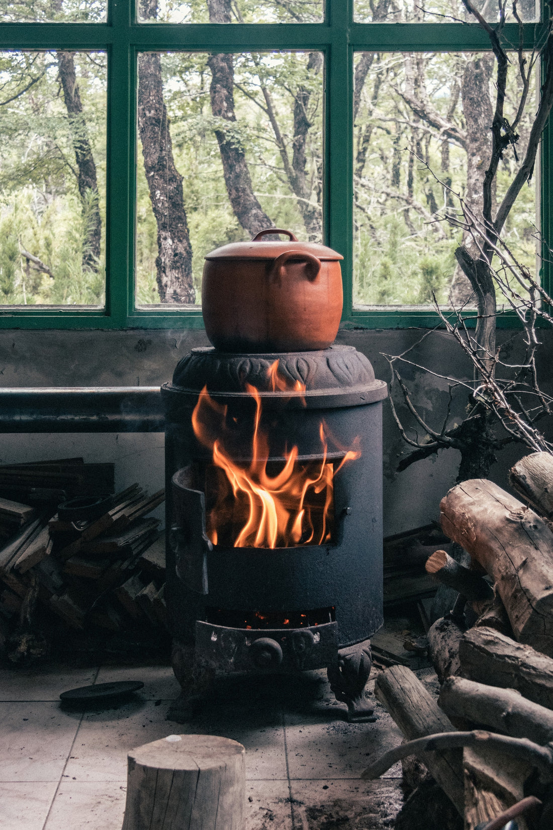 The Benefits of Using Wood Ash in Your Garden