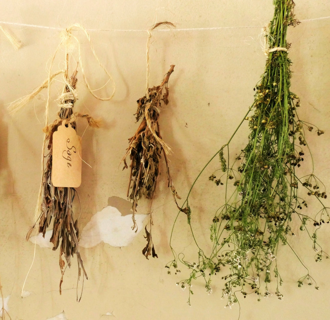 Preserving Fresh Herbs 101