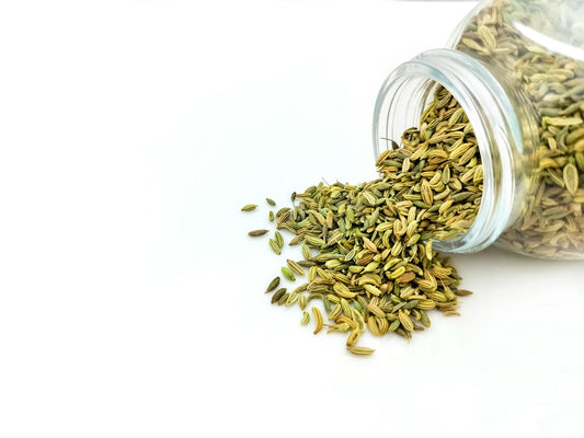 Growing Spices: Coriander, Fennel, Cumin, Dill, and Mustard Seeds Growing Guide