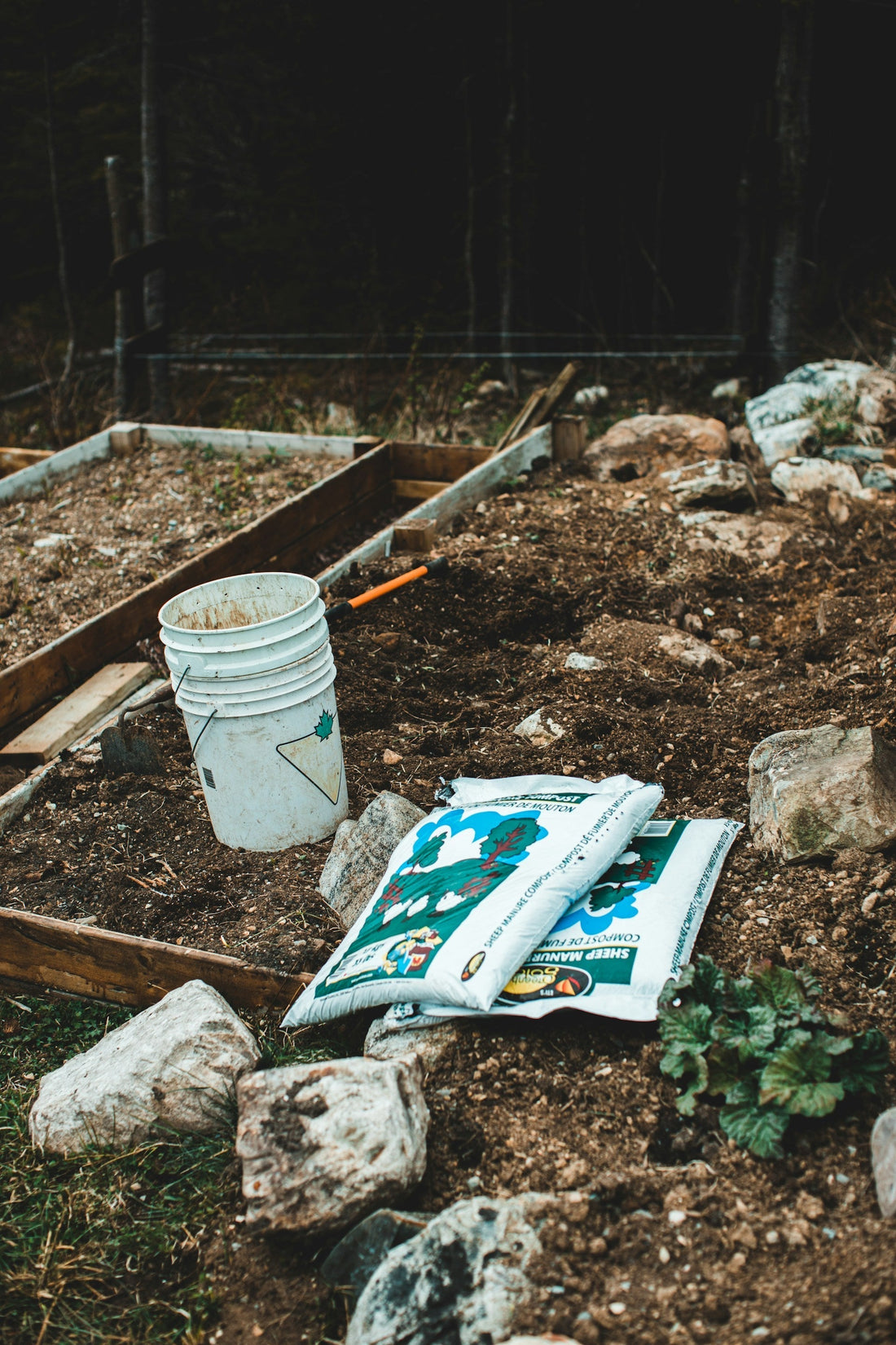 The Many Variations of Compost: What's The Difference?