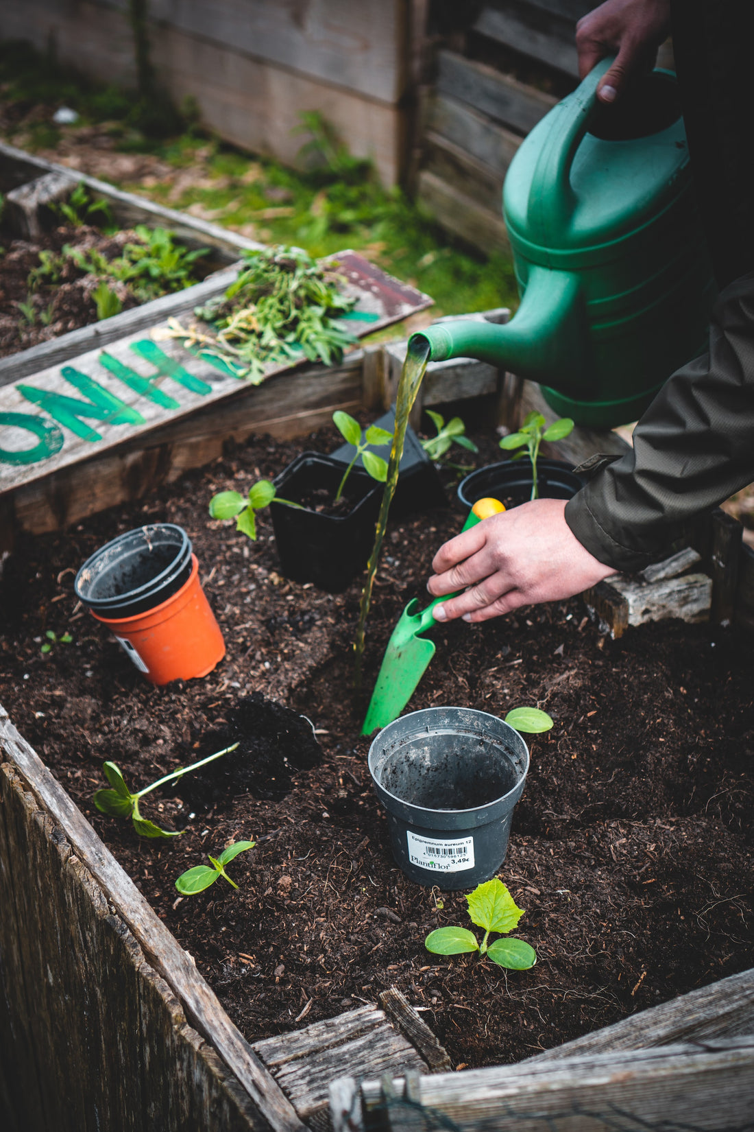 5 Ways To Save Time In The Vegetable Garden
