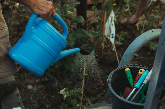 Combating Drought: How To Prepare Your Yard And Garden