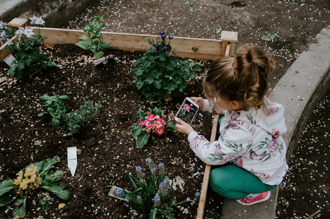 Ten Important Fall Garden Tasks and How To Get The Kids Out There Helping