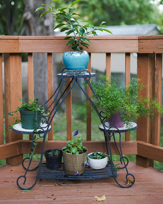 Container Gardening: How To Do It Successfully