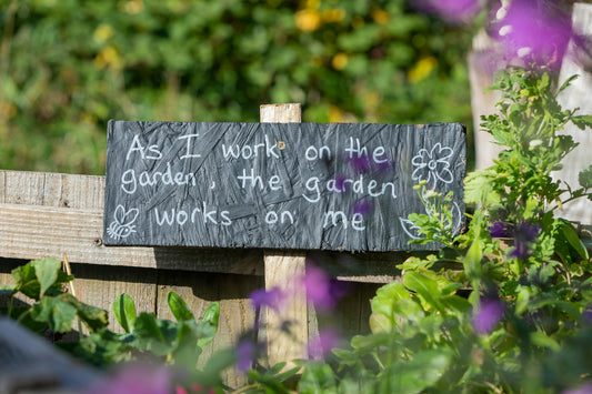 The Many Mental Health Benefits of Gardening