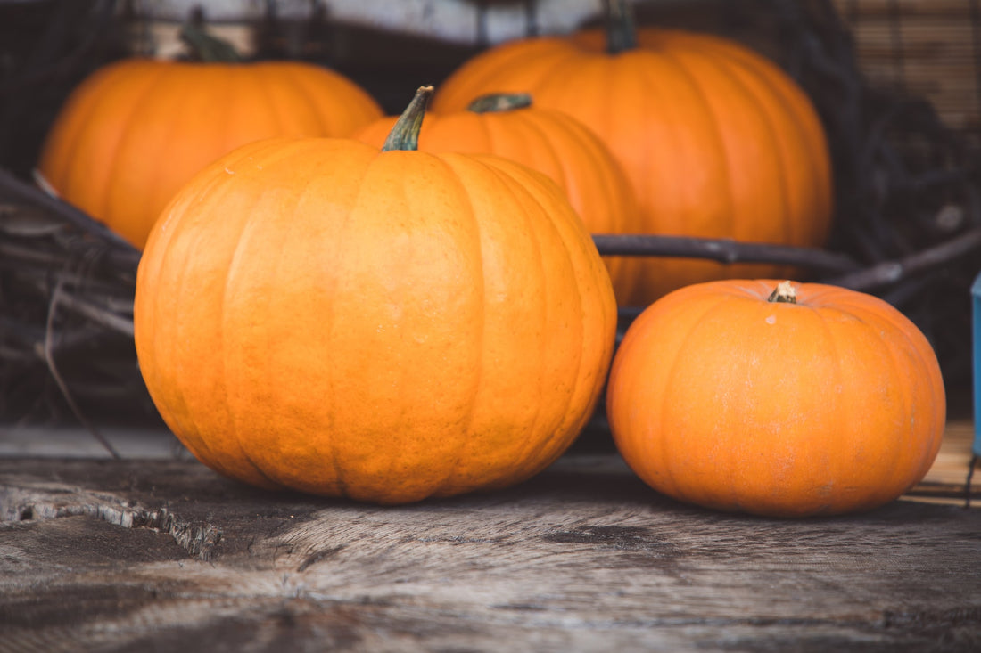 All About The Pumpkins: Top 5 Varieties for the Home Garden